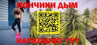индика Жуковский