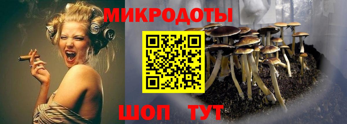 Псилоцибиновые грибы Psilocybine cubensis  Вход с VPN  Михайловск 